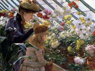 Chrysanthèmes