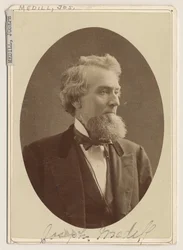 Portrait de Joseph Medill, c.1876