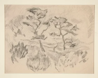 Paysage (Bermudes ou Provincetown ?)