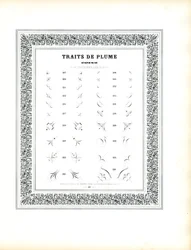 Calligraphic Corner Elements - Traits de Plume Coins (print)