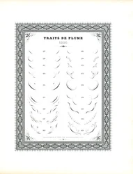 Ornements de coin calligraphiés (imprimé)