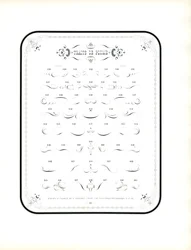 Fioritures calligraphiques et éléments décoratifs (impression)
