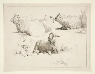 Moutons au pâturage