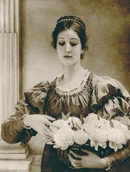 Pivoines