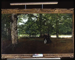 Promenade dans les bois
