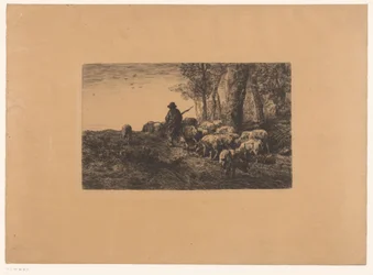 Berger avec un groupe de cochons