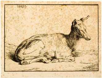 Une biche