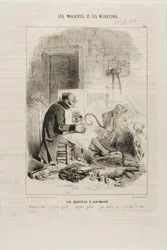 Un Hôpital pour Animaux (plaque 20)