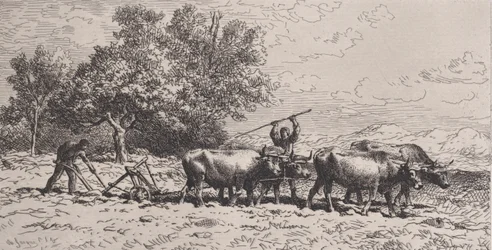 Attelage de bœufs, 1868