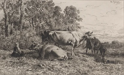 Vaches Néerlandaises