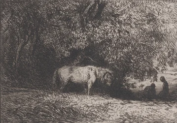 Cheval sous une branche d