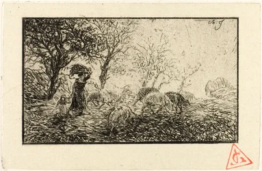 Paysage et animaux