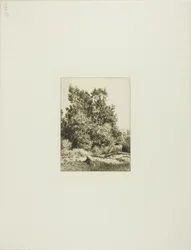 Paysage avec Vacher