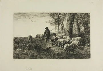 Homme avec un troupeau de cochons