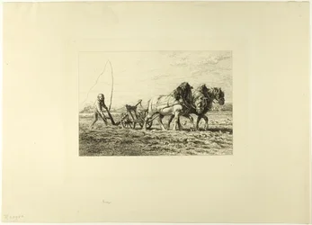 Labourer