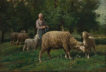 Bergère avec moutons