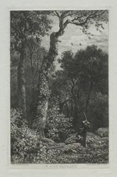 Chasse à la bécasse