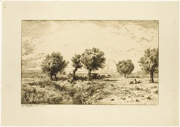 Saules dans un paysage