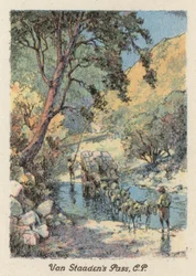 Afrique du Sud : Le col de Van Staaden, CP