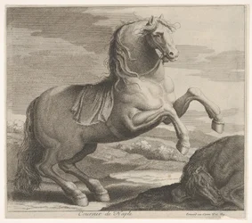 Coursier de Naples