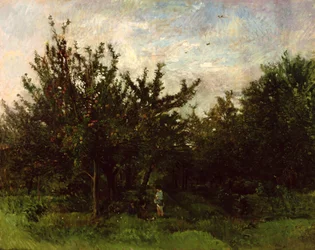Un Verger de Pommiers