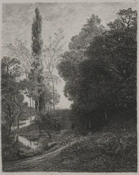 Rives de la Rivière Cousin