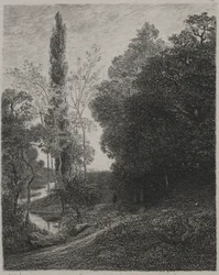 Rives de la rivière Cousin, 1850