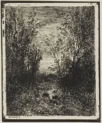 Ruisseau dans la clairière