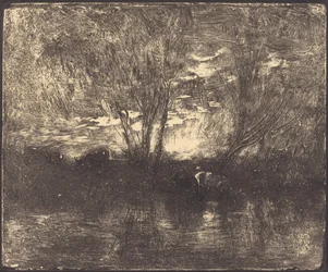 Vaches à l