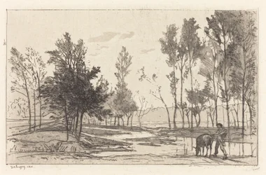Âne à l