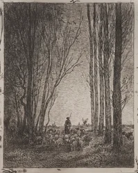 Rassemblement du troupeau