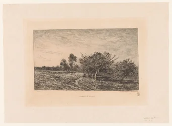 Pommiers à Auvers