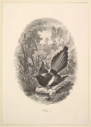 Pie, 1843
