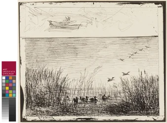 Marais avec des canards, 1862