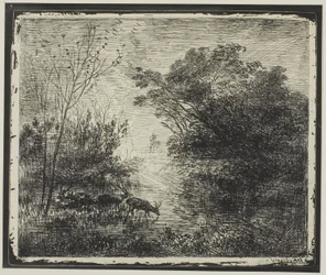Cerfs