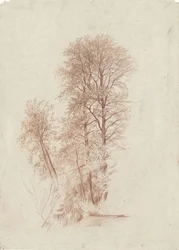 Étude de deux arbres élancés et de quelques plus petits arbres en feuilles