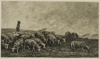 La montre du chien
