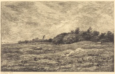 Le pré des Graves, à Villerville