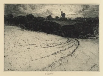 Matin, île de Canonicut, 1908