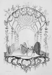 Théâtre Italien, de Essai de Papilloneries Humaines par Saint A...