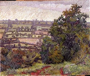 Paysage vert