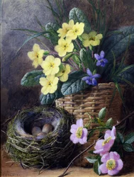 Still Life of Primroses, Violets and Roses. Nature morte avec nid et oeufs et fleurs. Peinture de Charles Henry Slater (1820-1890) Collection privee