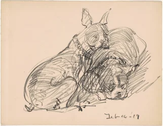 Deux chiens