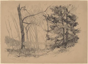 Intérieur en Bois