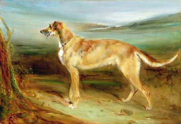Un chien de cerf dans un paysage (huile sur toile)