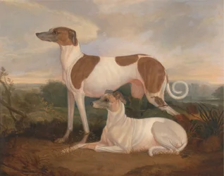 Deux lévriers dans un paysage