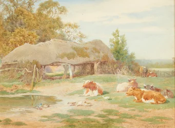 Bétail au repos