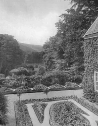 Jardin en retrait - depuis une fenêtre
