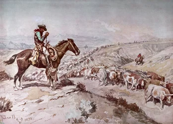 Conduite de bétail