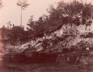 Carrière, 1850-53